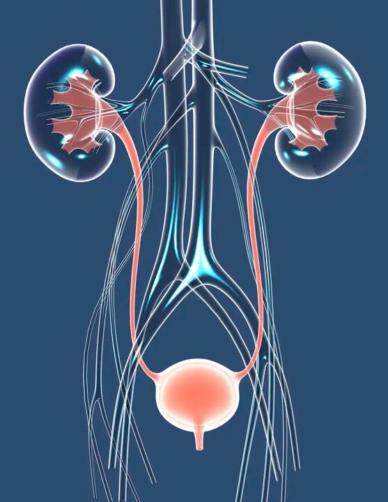 Sveiko vyro sveikatos iliustracija